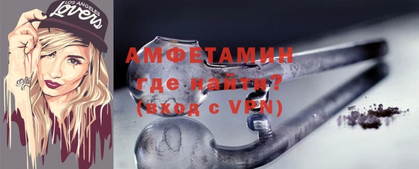 гидра Горняк