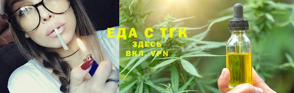 гидра Горняк