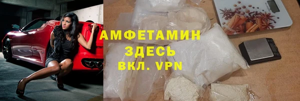 гидра Горняк
