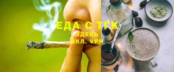 гидра Горняк