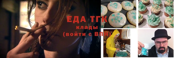гидра Горняк