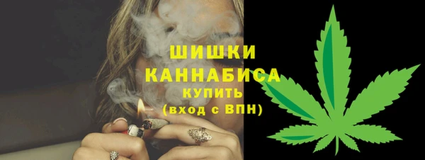 гидра Горняк