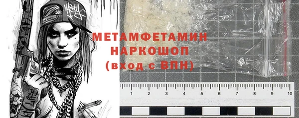 гидра Горняк