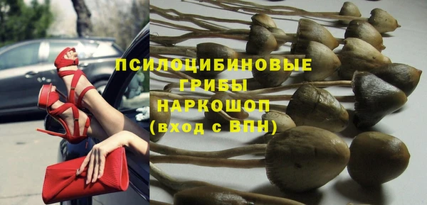 гидра Горняк