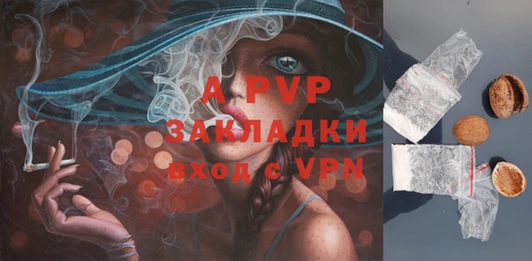 гидра Горняк