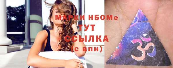 гидра Горняк